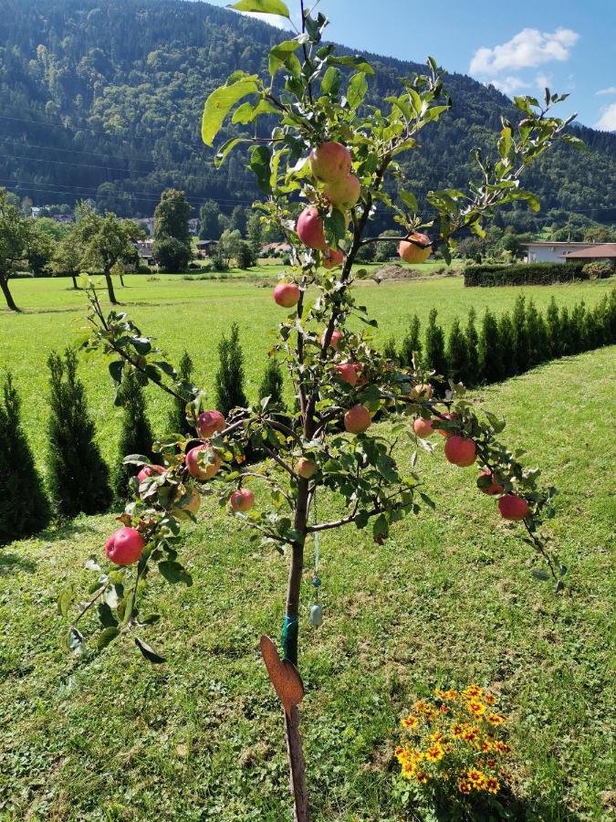 Apartment - Ferienwohnung 1 Treffen Am Ossiachersee エクステリア 写真